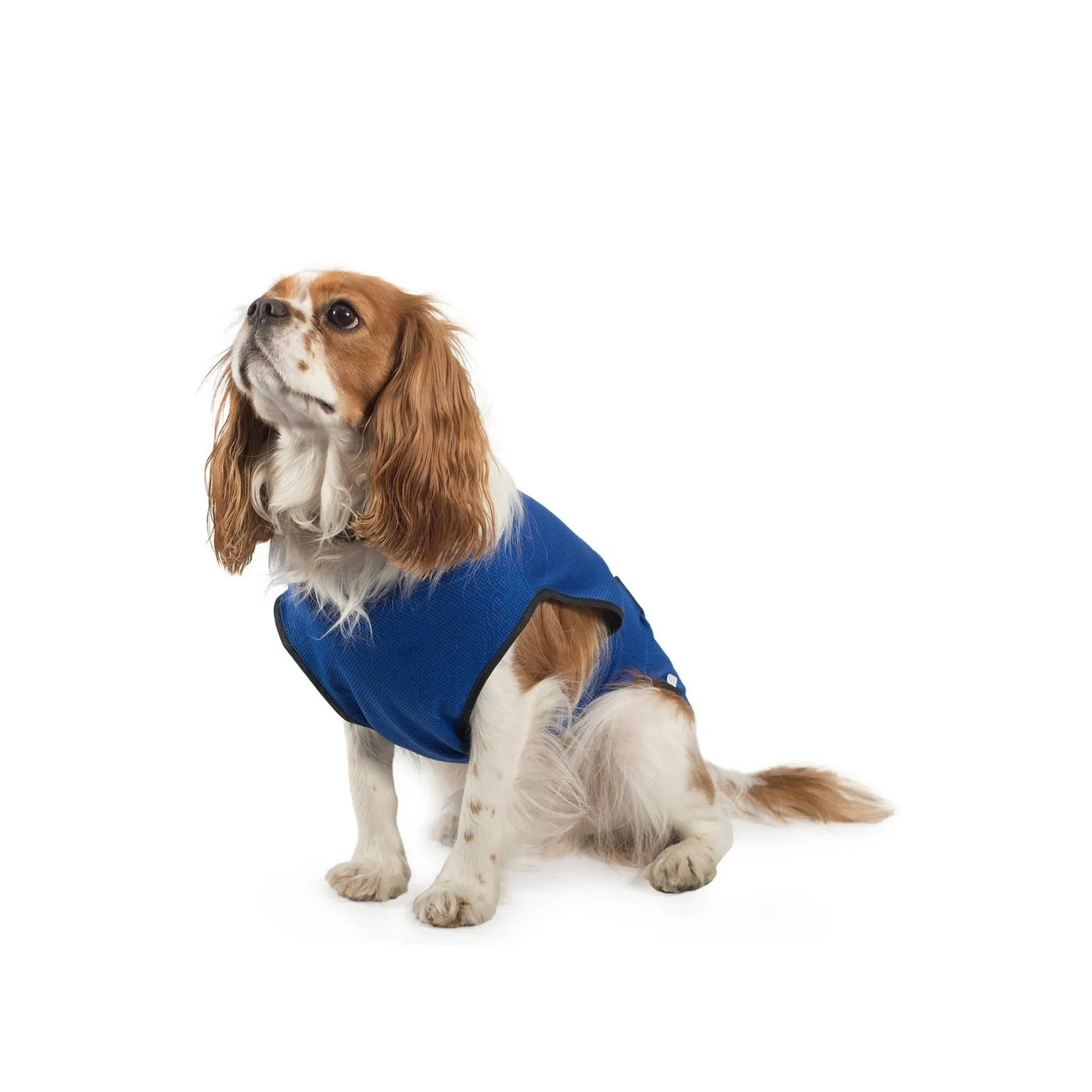 Ancol 25cm Cooling Dog Vest- X-Small