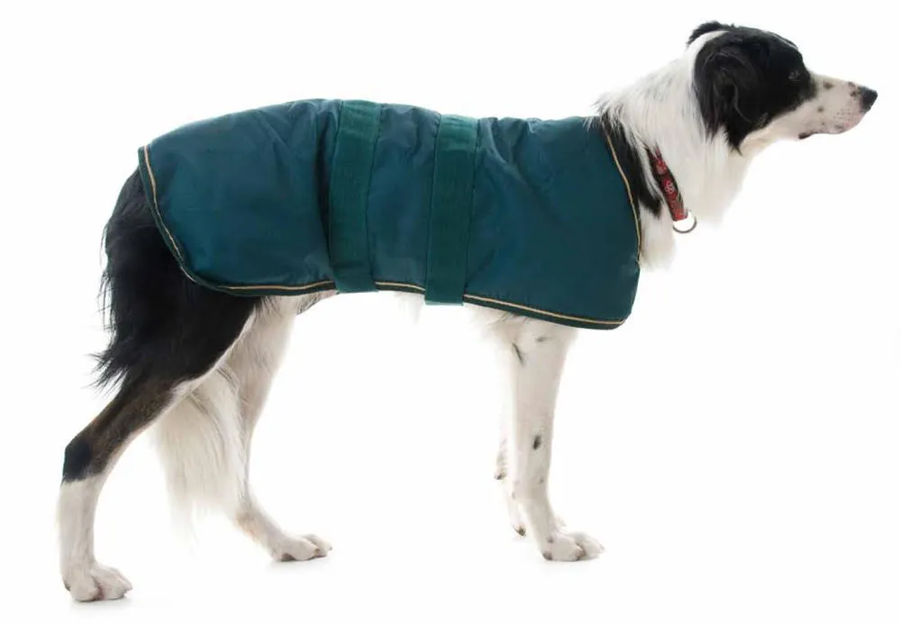 Luxury Waterproof Dog Coats Waterproof Breathable Fur Lining