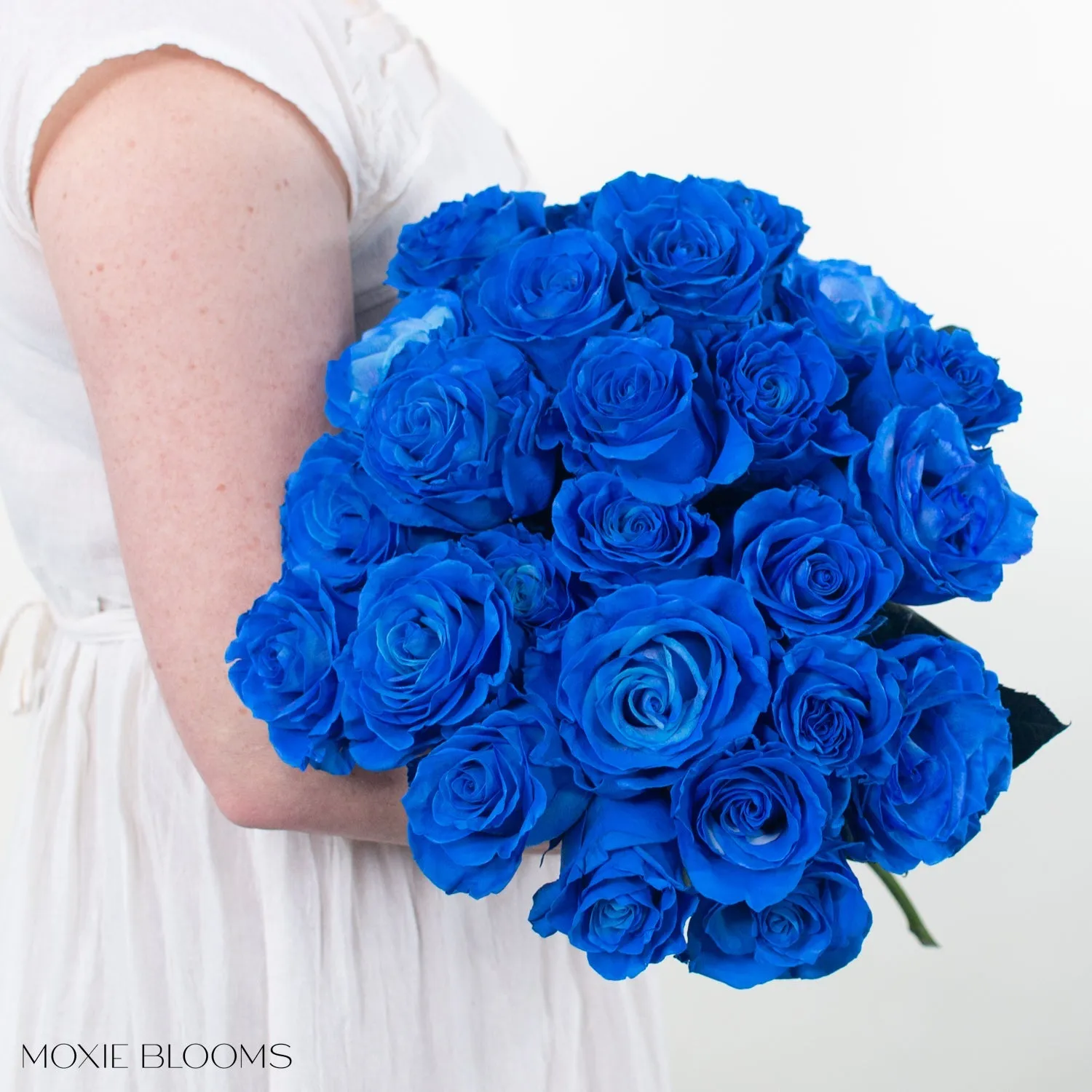 Sapphire Novelty Roses