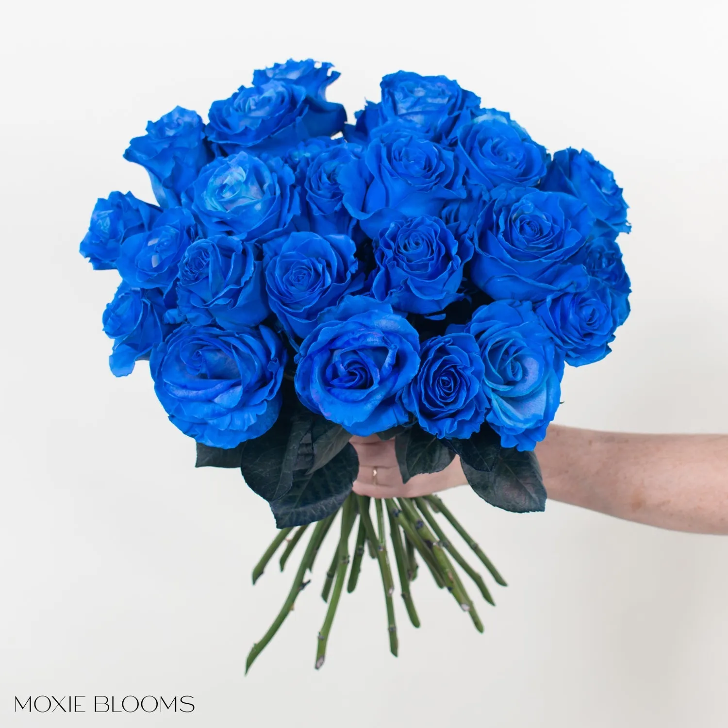 Sapphire Novelty Roses