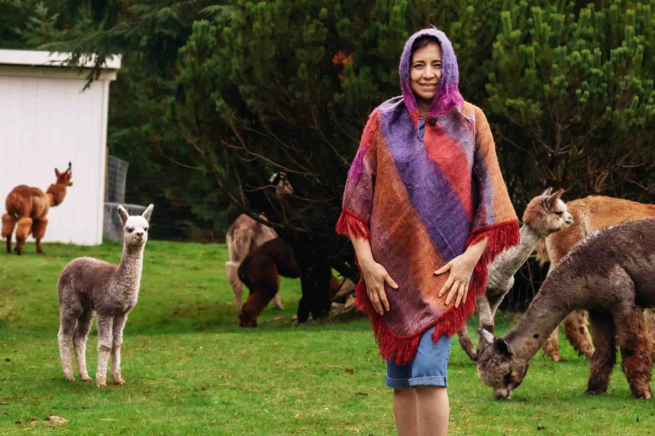 Sunrise Felted Alpaca Poncho with Native Pattern Triangular Design