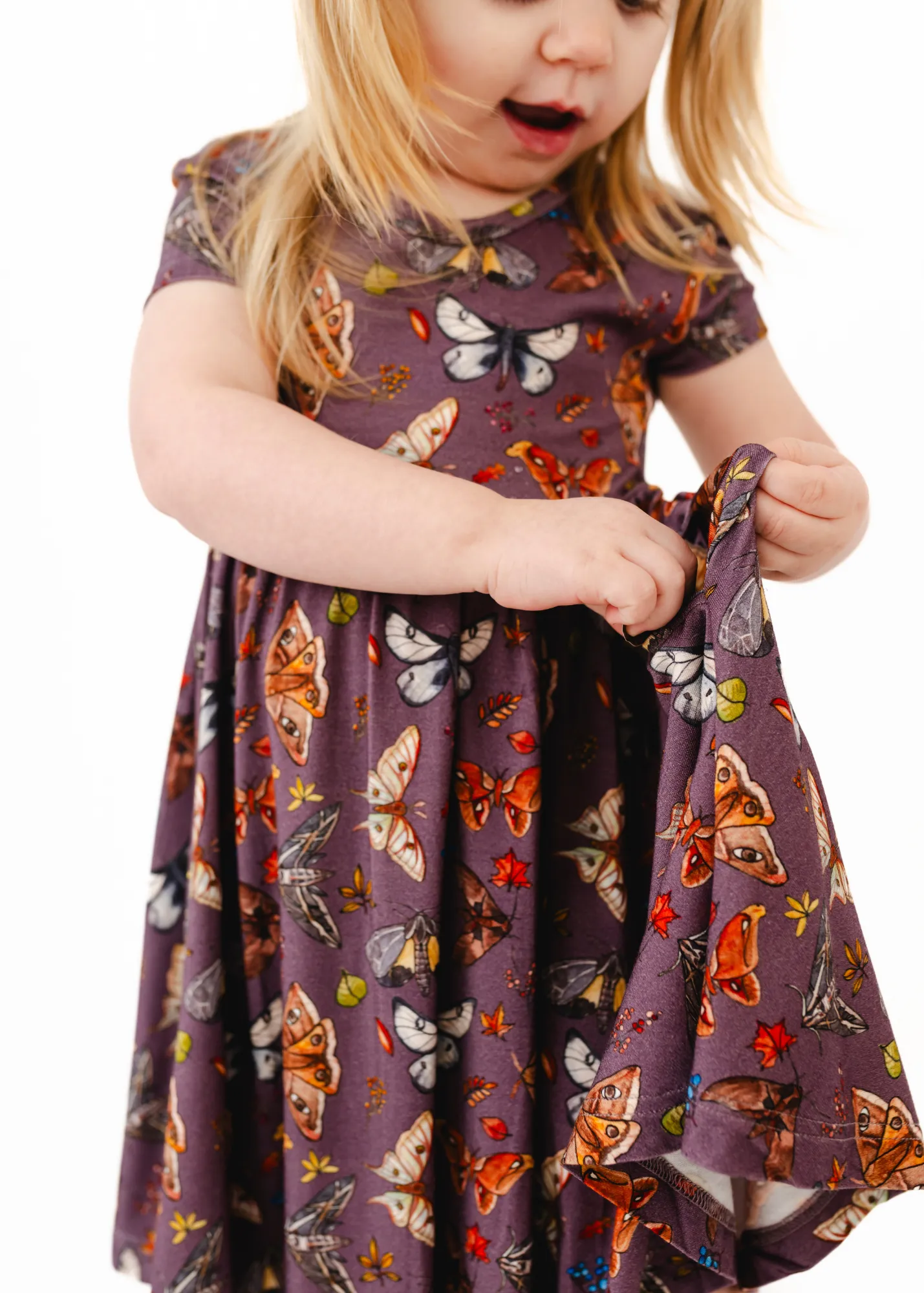 The Moths Plum Short Sleeve Twirl Dress